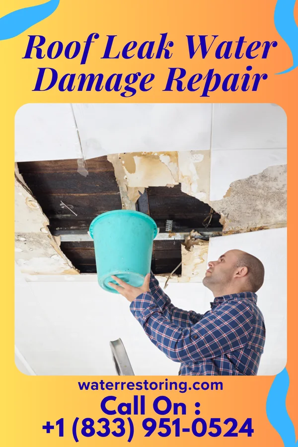 Roof Leak Water Damage Repair in Drain, OR